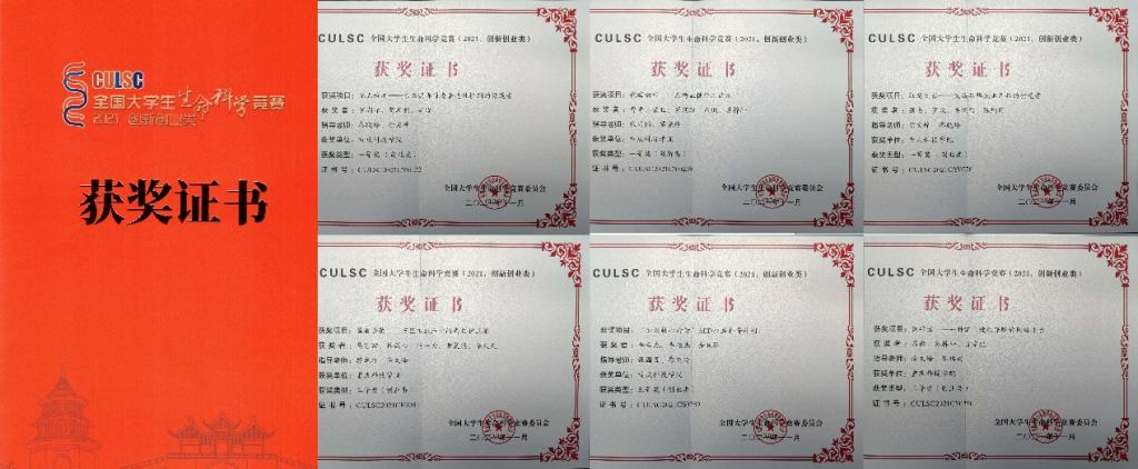 新澳门2025最新饮料大全