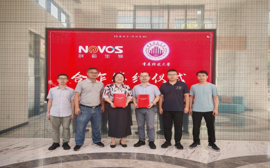 新澳门2025最新饮料大全