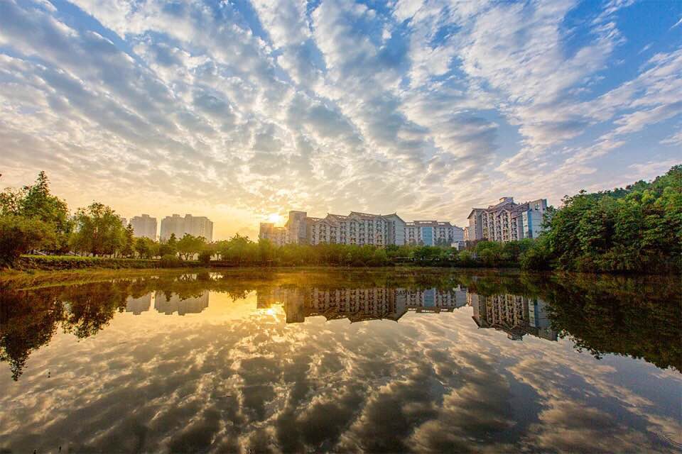 新澳门2025最新饮料大全