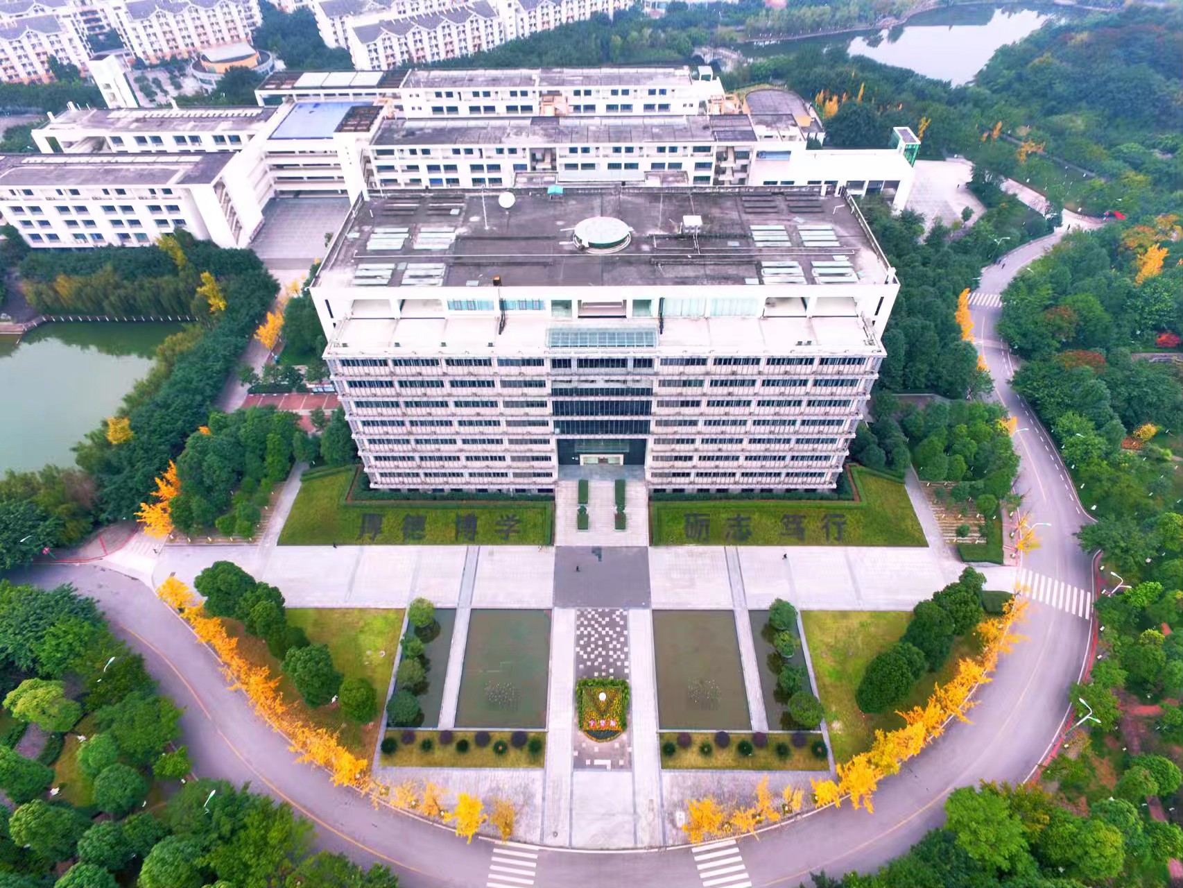 新澳门2025最新饮料大全